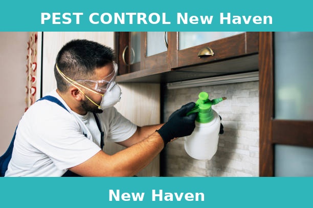PEST CONTROL New Haven
